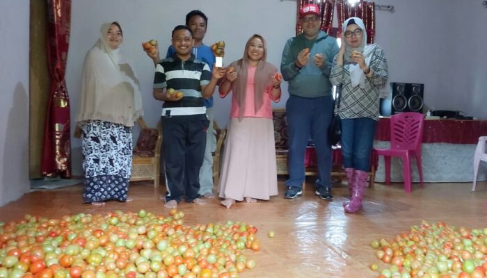 Gunakan pupuk organik Eco farming, Warga Dulamayo Utara Nikmati Hasil Panen Melipah