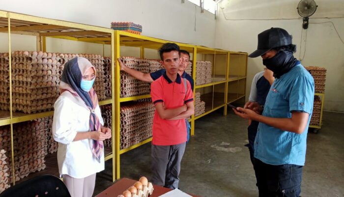 Terkait Telur Rusak Di Kecamatan Pulubala, Pihak PT. Harim Gorontalo Angkat Bicara