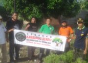 Bukan Hanya Menanam Pohon, Kambers Tingkatkan Inovasi Hingga Menambal Jalan Rusak