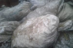 LSM Green Leave Minta Kapolres Bonbol Tertibkan Tambang Batu Hitam Yang Diduga Ilegal