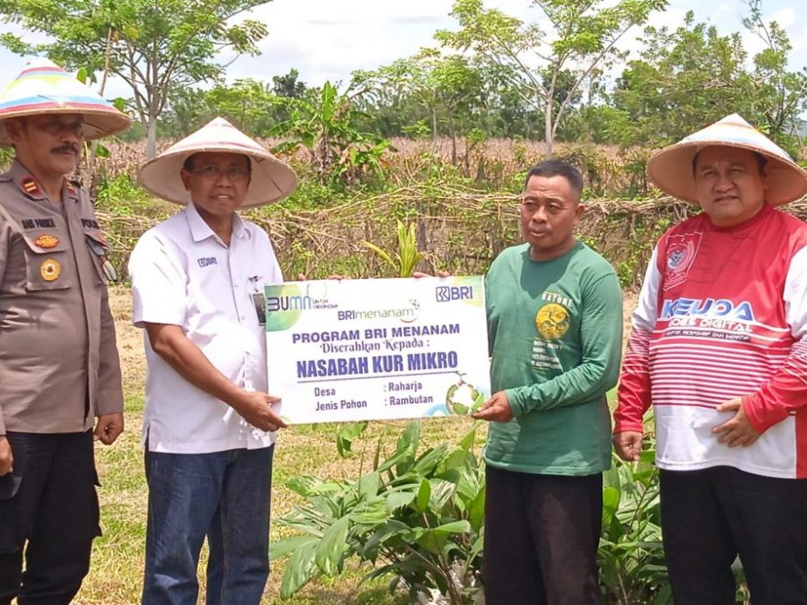 Program BRI Menanam Sukses Dilakukan Di Desa Raharja Kecamatan Wonosari
