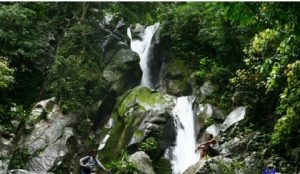 Kekayaan Biodiversitas di Taman Nasional Bogani Nani Wartabone Provinsi Gorontalo