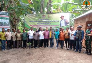 Mengurangi Luas Hutan Kritis Dan Tingkatkan Penyerapan Karbon, KLHK Ajak Masyarakat Tanam Pohon