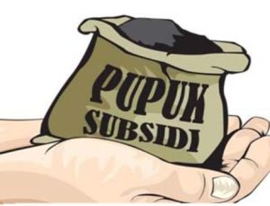 Soal Pupuk Subsidi, Dinas Pertanian Provinsi Gorontalo Tanggapi Pernyataan Sarifudin Bano