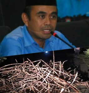 Rawan Kecelakaan, Saripudin Bano Menyoroti PT. PG. Gorontalo Tidak Memperhatikan Muatan