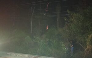 Kawasan Cagar Alam Panua Dilahap Sijago Merah, Penyebabnya Belum Diketahui