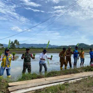 Tingkatkan Produktivitas Pangan, Koramil Boliyohuto Dukung Program Pemerintah