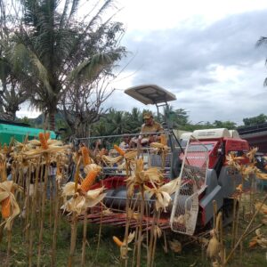 Harga Jagung Capai Rp5.500, Gubernur Gorontalo Ingatkan Petani Soal Kadar Air