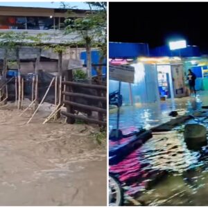 Dua Kecamatan di Pohuwato Terendam Banjir,  Mantan Ketua Umum KPMP Soroti Pemerintah  dan Perusahaan