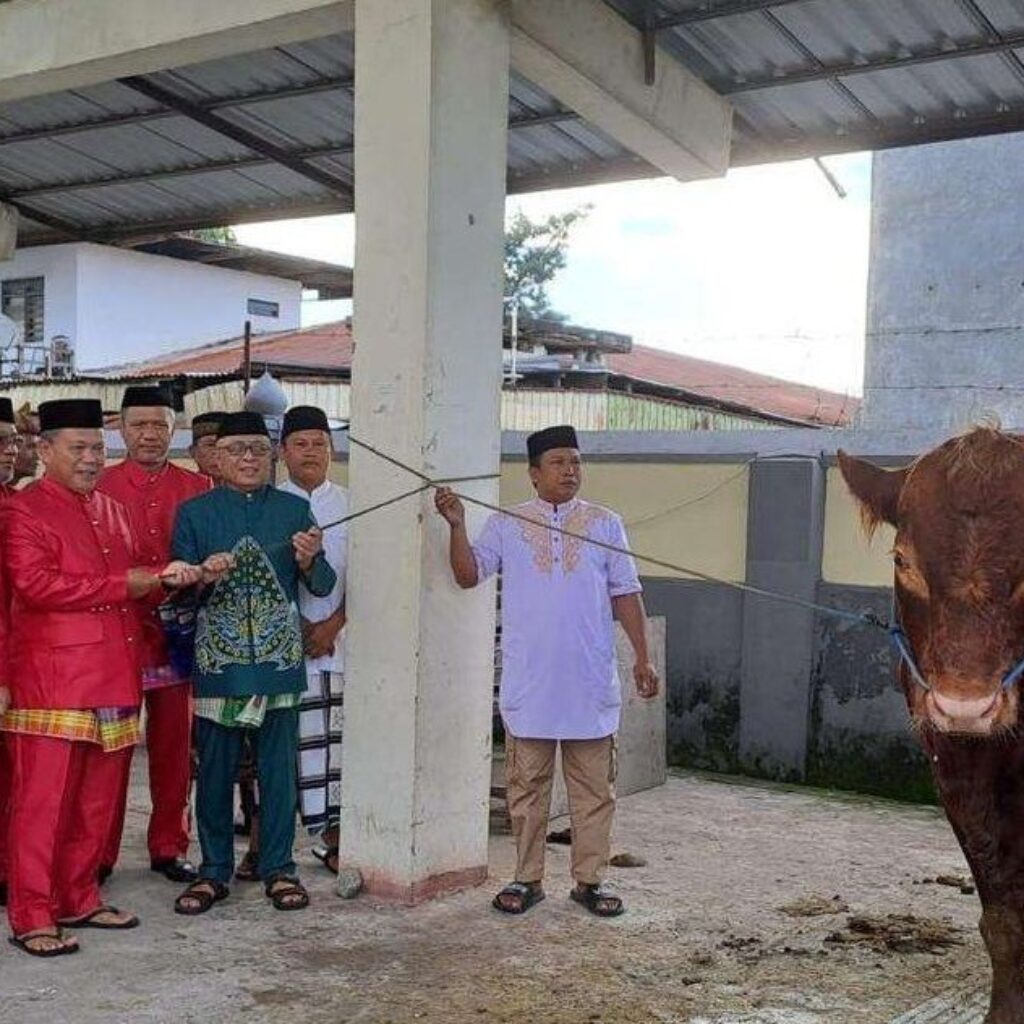 Pemerintah Kabupaten Gorontalo Serahkan Bantuan Hewan Kurban Seberat 800 Kilogram dari Presiden RI