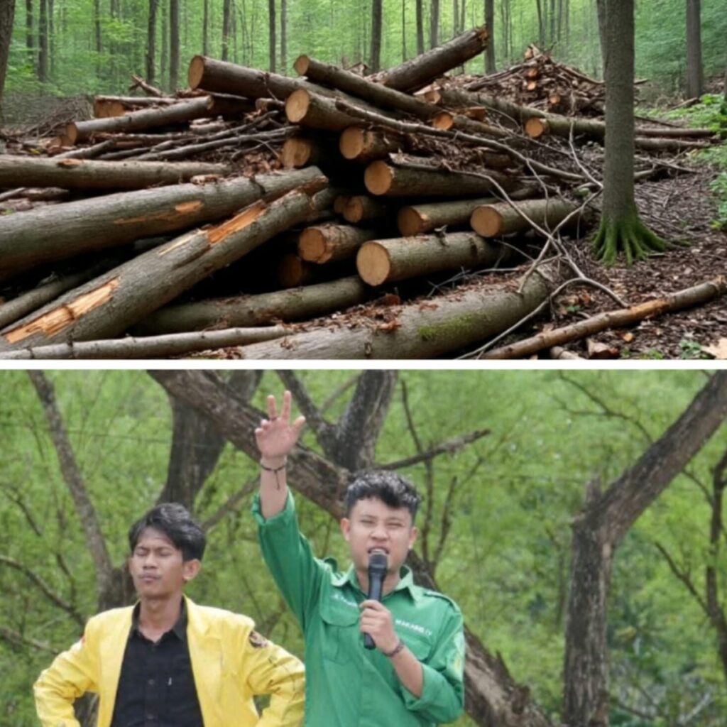 Polres Gorontalo Didesak Selidiki Usaha Tumpukan Kayu Yang Diduga Bersumber Dari Ilegal Logging