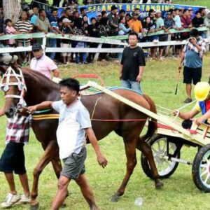 Pacuan Kuda dan Karapan Sapi Lebaran Ketupat di Yosonegoro-Gorontalo Kembali Ditiadakan