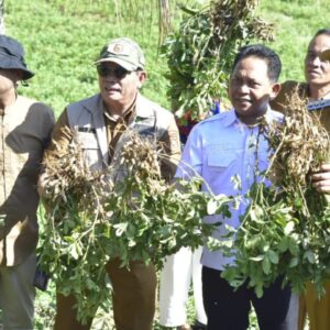 Pemkab Gorontalo Dorong Kacang Tanah Tilihuwa Tembus Industri Nasional