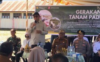 Produktivitas Padi di Kabupaten Bone Bolango Melampaui Nasional