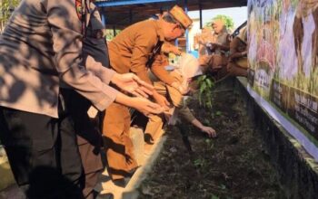 Gerakan Tanam Cabai Sasar Lingkungan Pendidikan di Bone Bolango