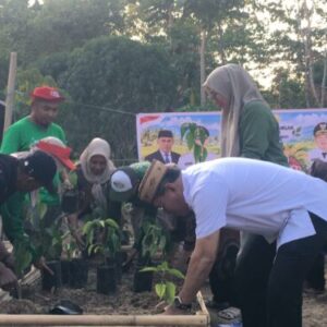 Cabai Picu Inflasi, Pemkab Bone Bolango Gerakkan Warga Tanam di Pekarangan