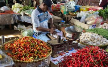 Tak Hanya Panas Akibat Kekeringan, Harga Cabai di Bone Bolango Juga Masih Terasa Pedas