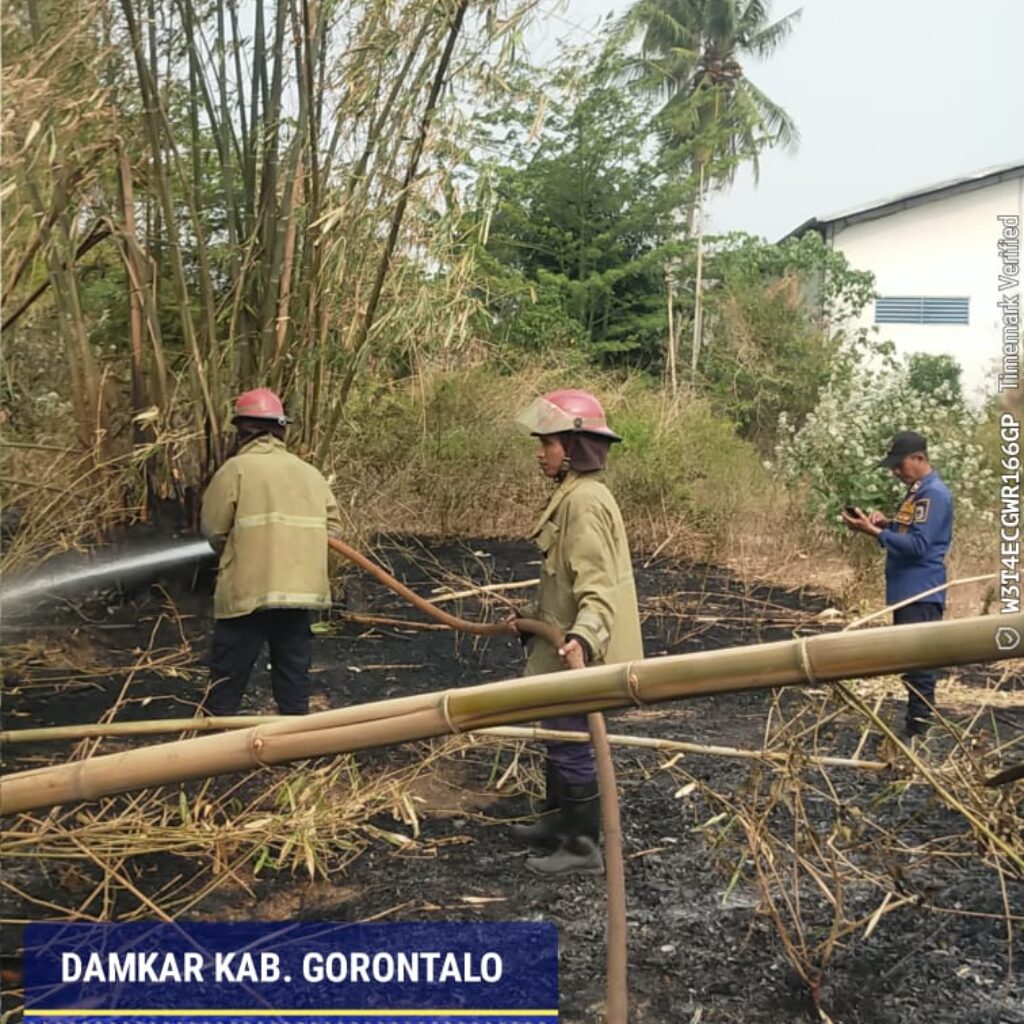 Tim Gabungan Berhasil Padamkan Kebakaran Karhutla di Kabupaten Gorontalo